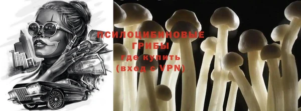 метадон Костерёво