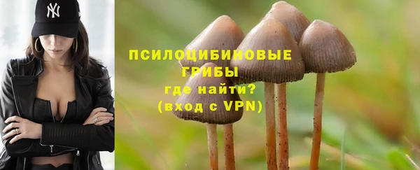 а пвп мука Корсаков
