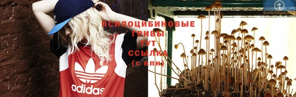 а пвп мука Корсаков