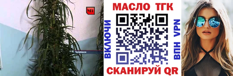 где можно купить наркотик  Медвежьегорск  ТГК гашишное масло 