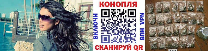 где найти наркотики Медвежьегорск Канабис марихуана